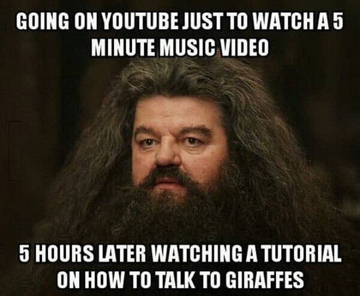 Harry Potter 10 Hilarious Hagrid Logic Memes That Are Too Funny Harry Potter 10 Hilarious Hagrid Logic Memes That Are Too Funny